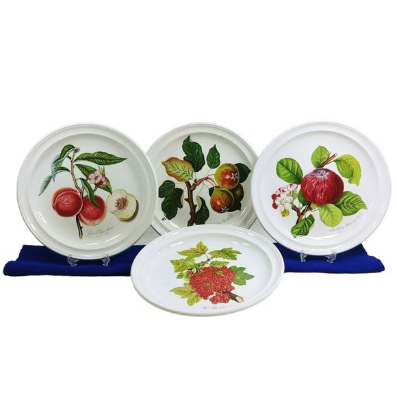 Portmeirion Ponoma Other - Portmeiron Ponoma Dinner Plates 4 Pc Susan Williams-Ellis